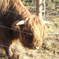 Foto de Provenchère sur fave