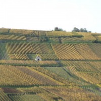 Foto de Dorlisheim