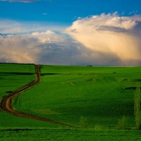 Foto de Palacios del Alcor