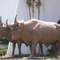 Foto de Liberia (Guanacaste)