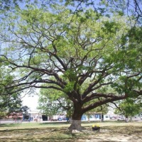 Foto de Liberia (Guanacaste)