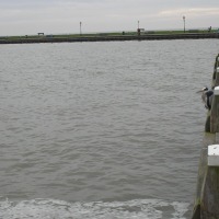 Foto de Volendam