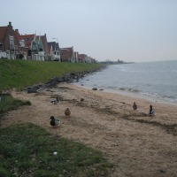 Foto de Volendam