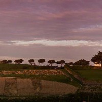 Foto de Comillas