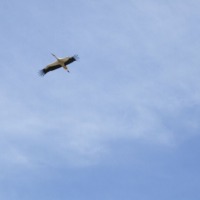 Foto de Mutzig