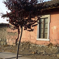 Foto de Buin