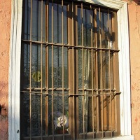 Foto de Buin