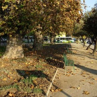 Foto de Buin