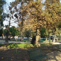 Foto de Buin