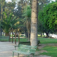 Foto de Buin