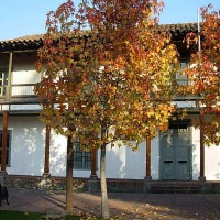 Foto de Buin