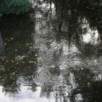 Foto de Brugge