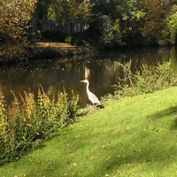 Foto de Brugge