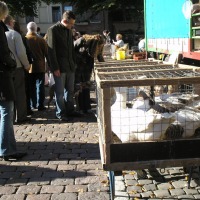 Foto de Brugge