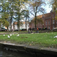 Foto de Brugge