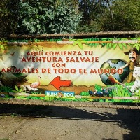 Foto de Buin