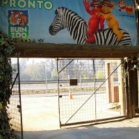 Foto de Buin