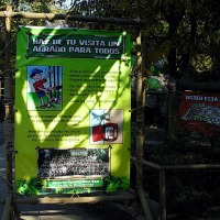 Foto de Buin