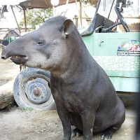 Foto de Buin