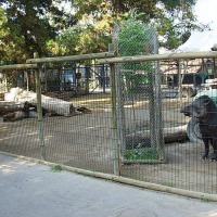 Foto de Buin