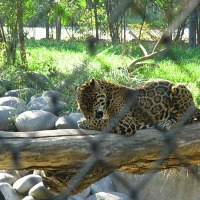 Foto de Buin