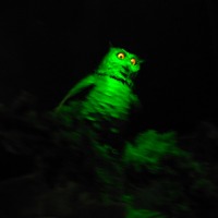 Foto de Buin