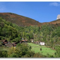 Foto de Viboli - Ponga