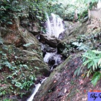 Foto de La Ceiba (Atlantida)