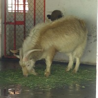 Foto de Buin