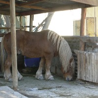 Foto de Buin