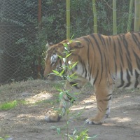 Foto de Buin