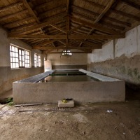 Foto de Miñana