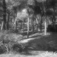 Foto de Cádiz