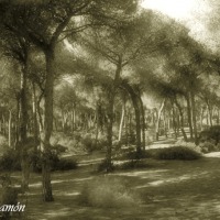 Foto de Cádiz