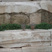 Foto de Atenas