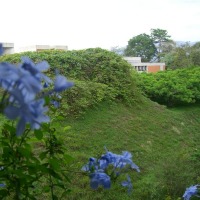 Foto de Carabobo - GüIgüe