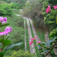 Foto de Carabobo - GüIgüe