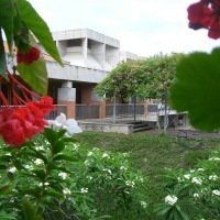Foto de Carabobo - GüIgüe