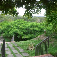 Foto de Carabobo - GüIgüe