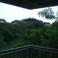 Foto de Carabobo - GüIgüe