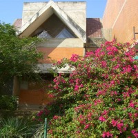 Foto de Carabobo - GüIgüe