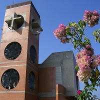 Foto de Carabobo - GüIgüe