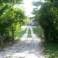 Foto de Carabobo - GüIgüe