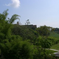 Foto de Carabobo - GüIgüe