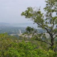Foto de Carabobo - GüIgüe