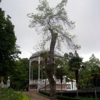 Foto de Oviedo
