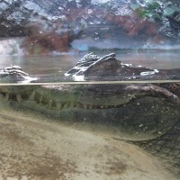 Foto de Buin