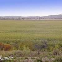 Foto de Cádiz