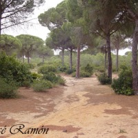 Foto de Cádiz