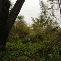 Foto de Acasusso, Buenos Aires